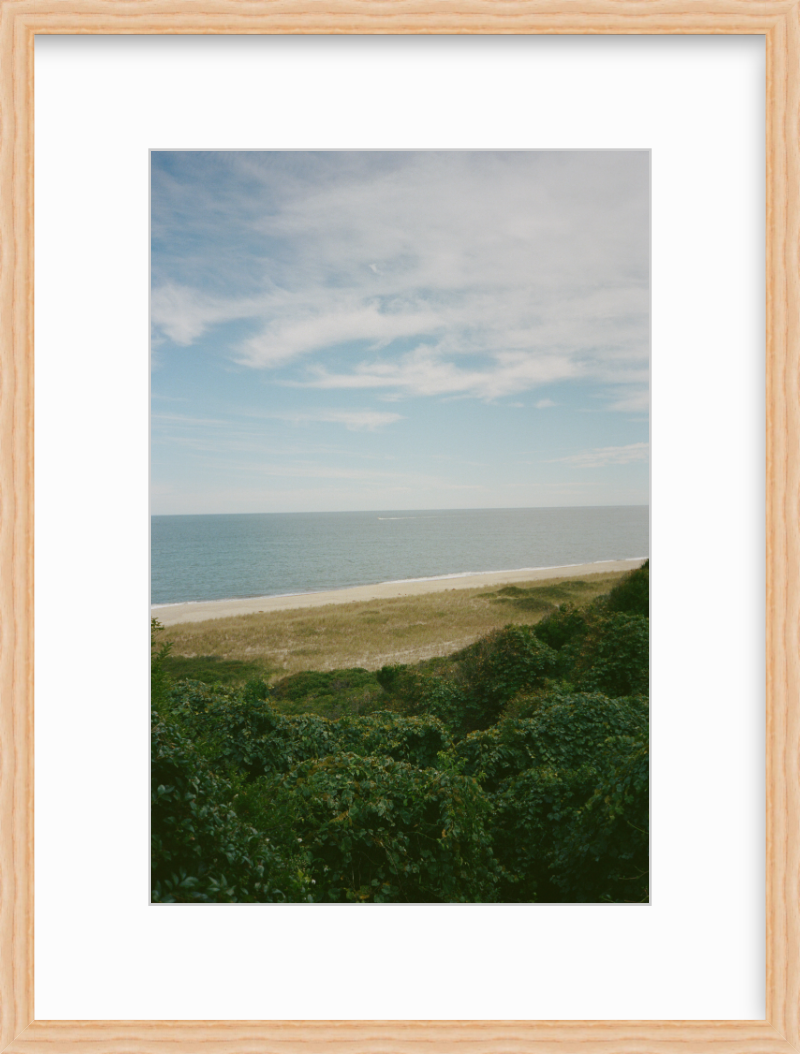 The Bluff