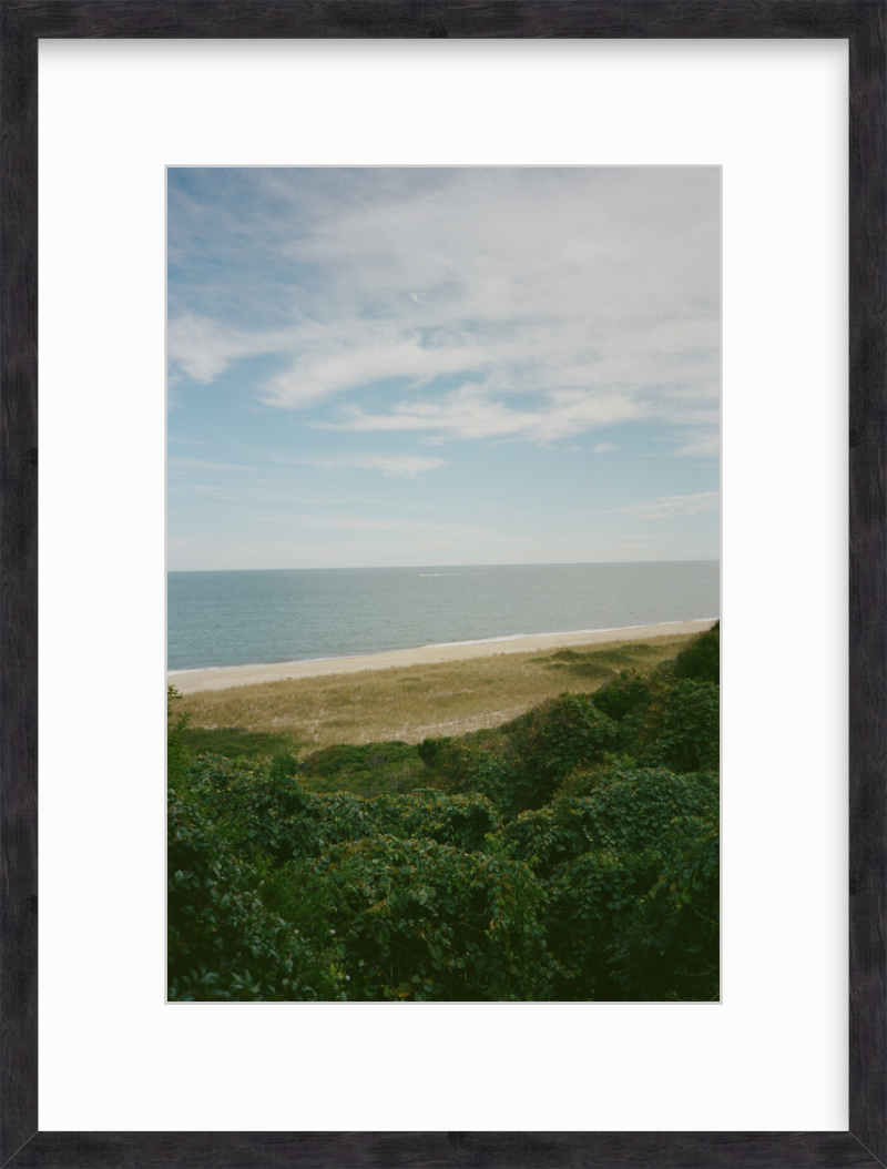 The Bluff