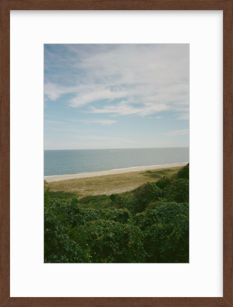 The Bluff