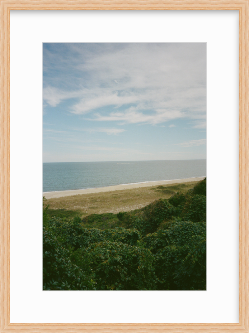 The Bluff