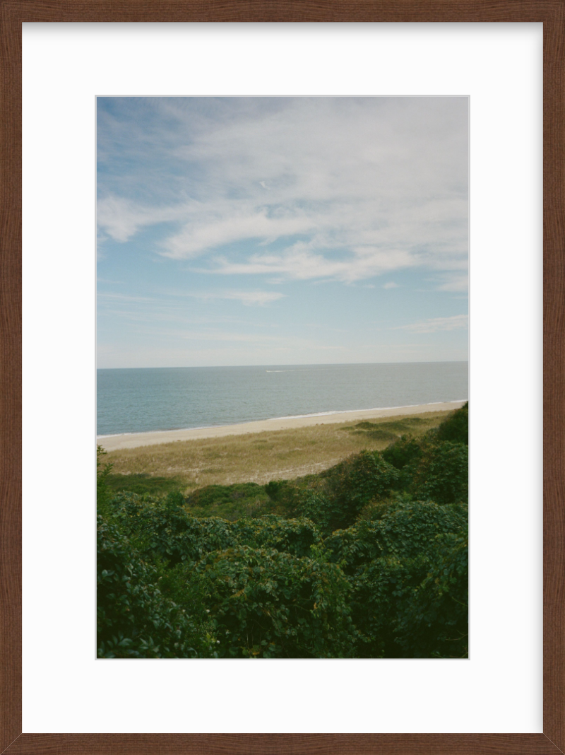 The Bluff