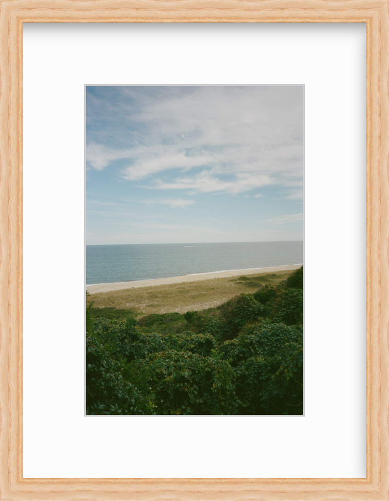 The Bluff