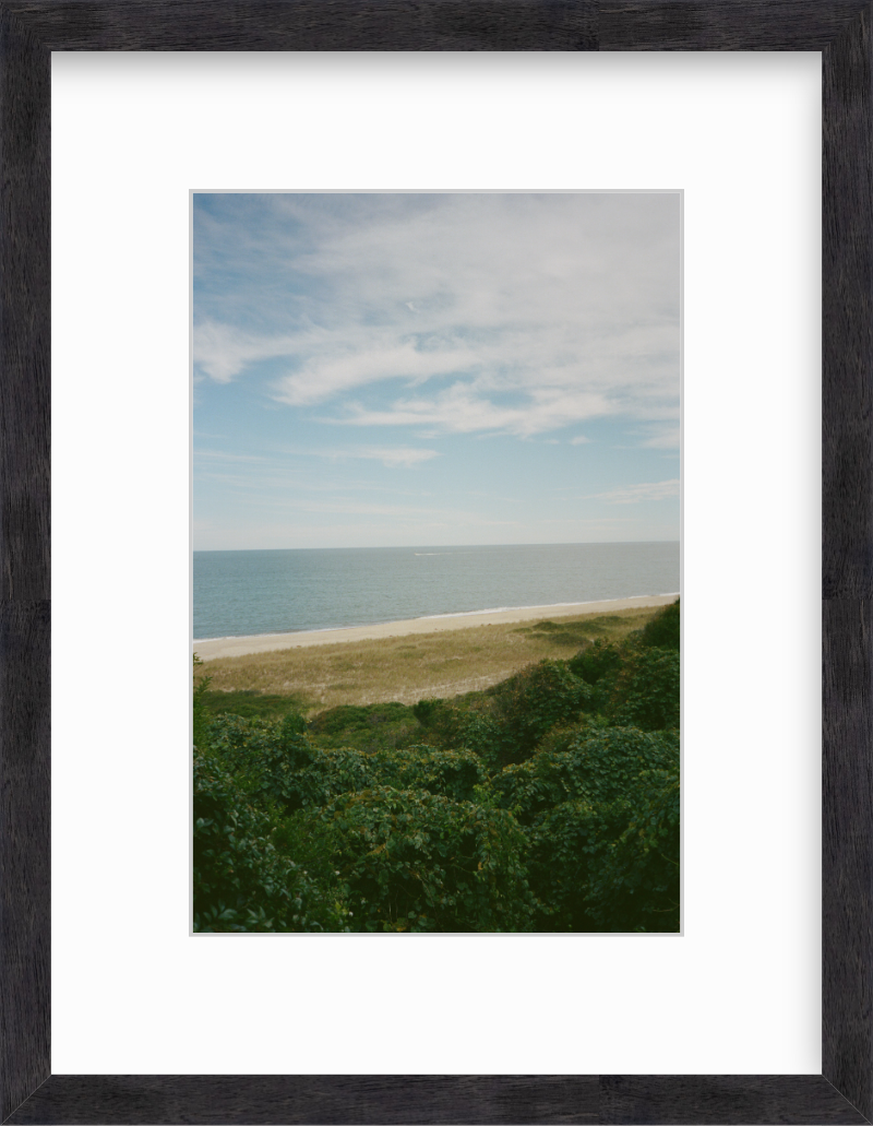 The Bluff