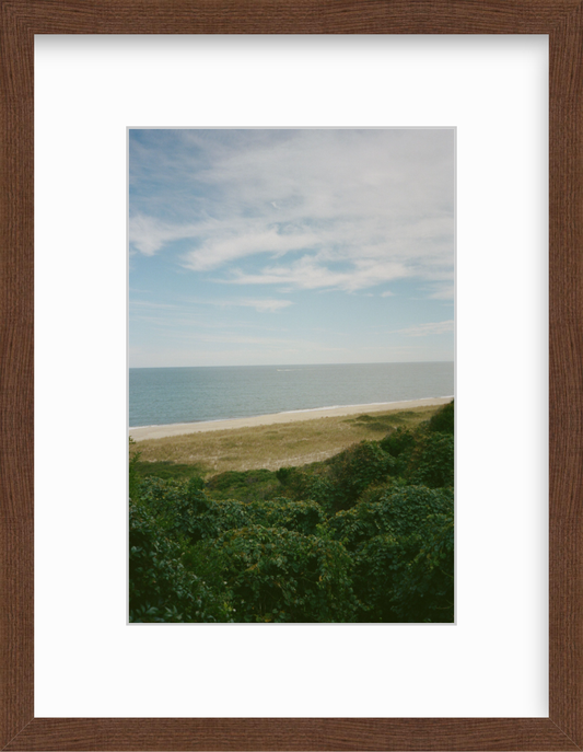 The Bluff
