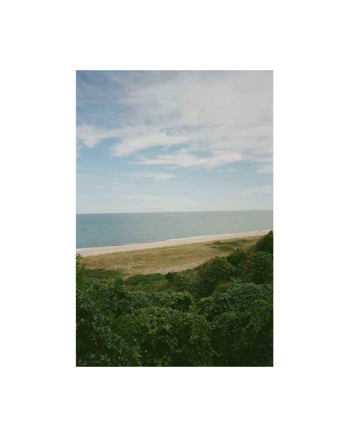 The Bluff